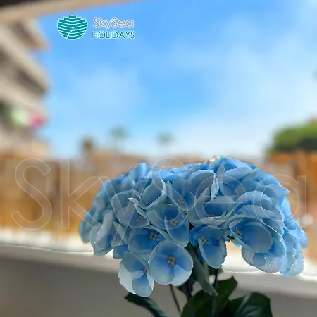 Skysea Puerto Marina